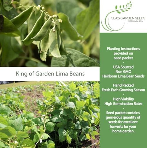 King of The Garden Lima Bean Seeds (Pole Lima, Phaseolus lunatus) – 25+ Non