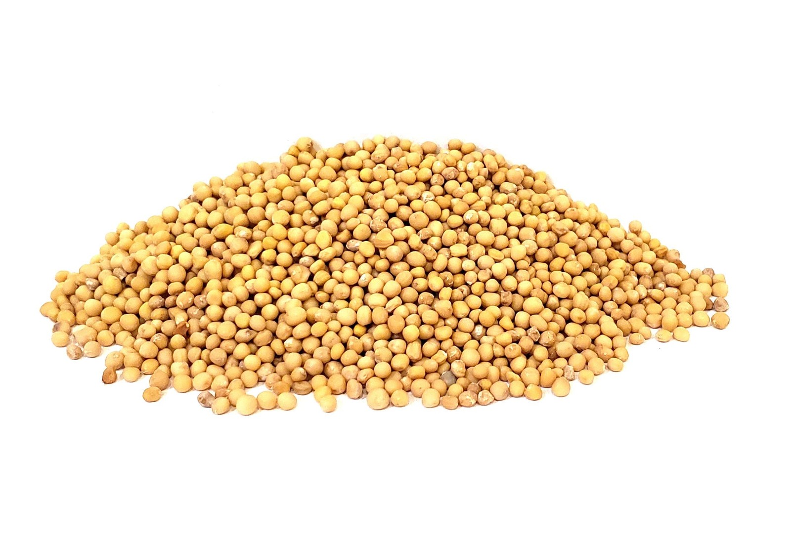 The Spice Way Yellow Mustard Seed – (6oz) whole seeds for 6 Ounce (Pack of 1)