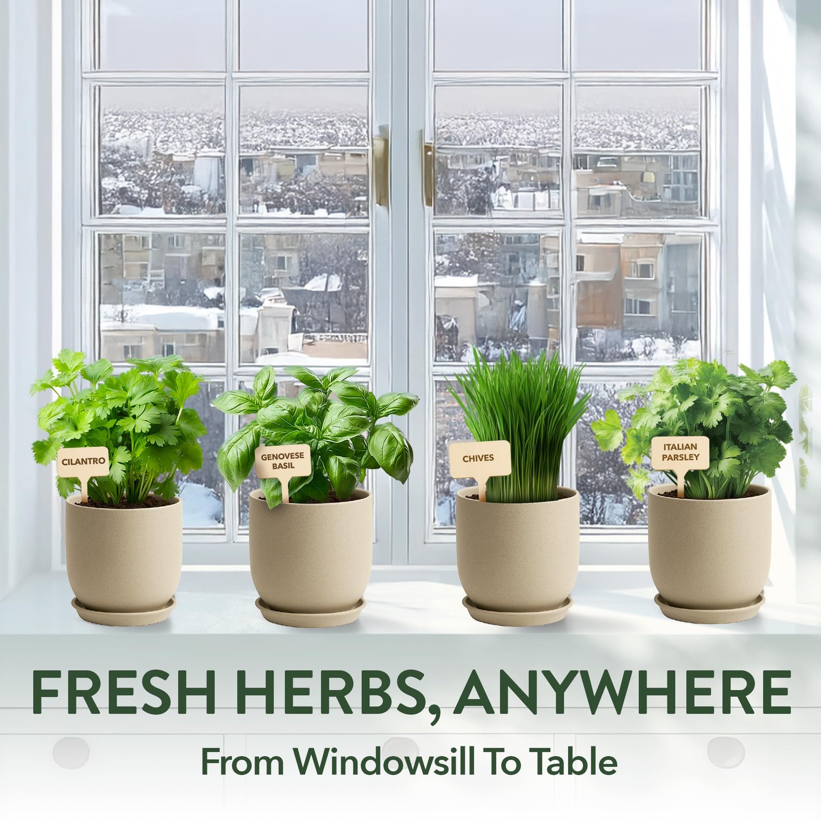 Indoor Organic Herb Garden Kit Unique Gift for Plant Lovers & Beginners