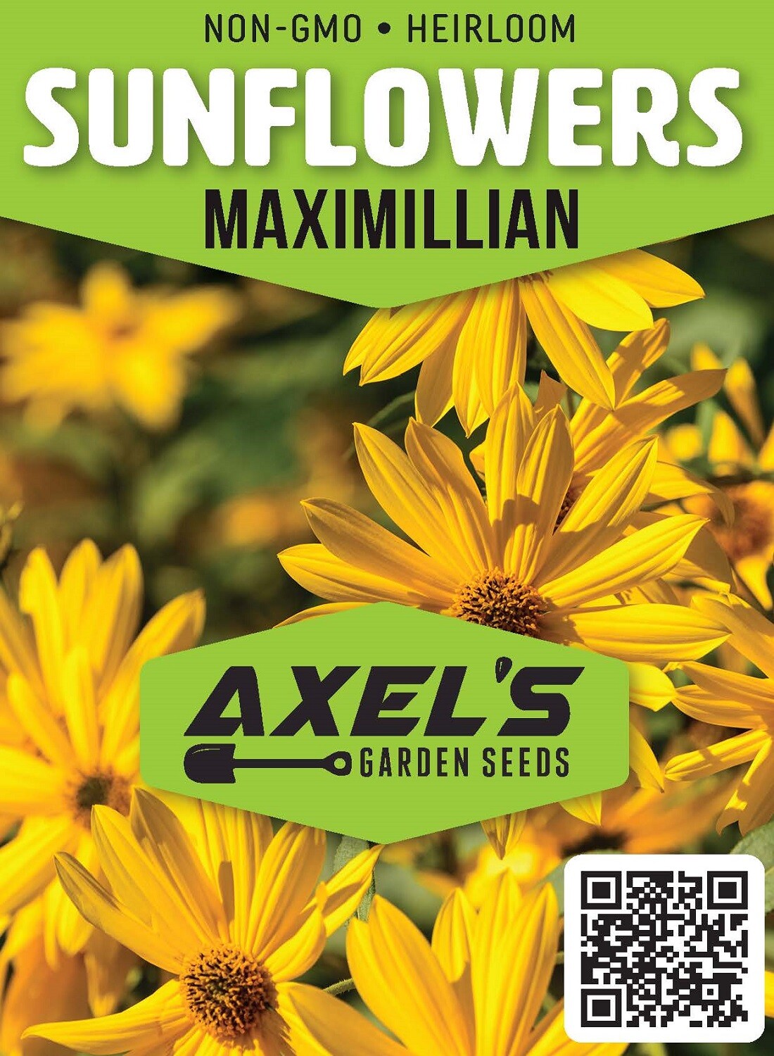 Maximilian Sunflower Seeds | Heirloom & Non-GMO | Fresh Perennial Flower Seeds