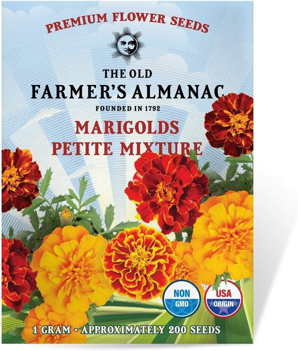 Fragrant Marigold Seeds – Petite Mixture for All Seasons, 200 Non-GMO Seeds
