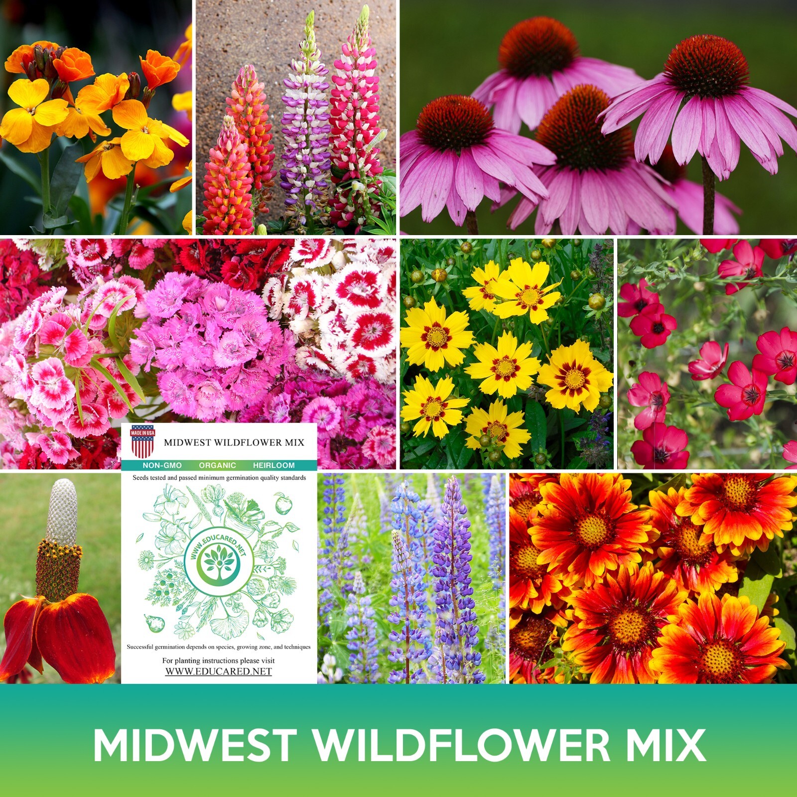 Midwest Wildflower Mix Seeds