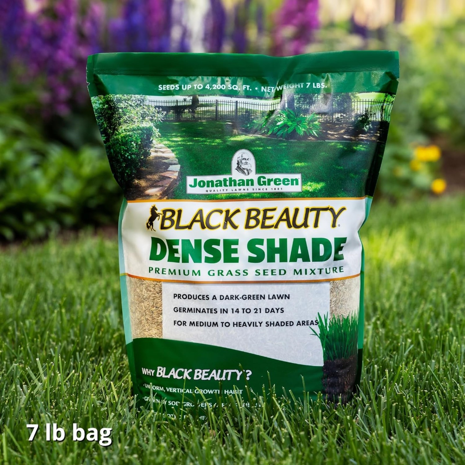 Jonathan Green Black Beauty Dense Shade Grass Seed Mix, 7lbs