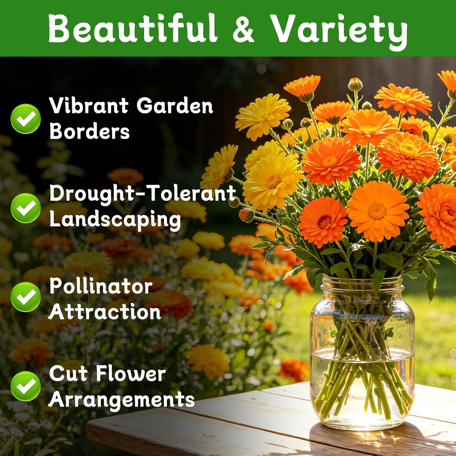 Calendula Seeds, Calendula Seeds for Planting Outdoor & Indoor, 4,000+ Pacific B