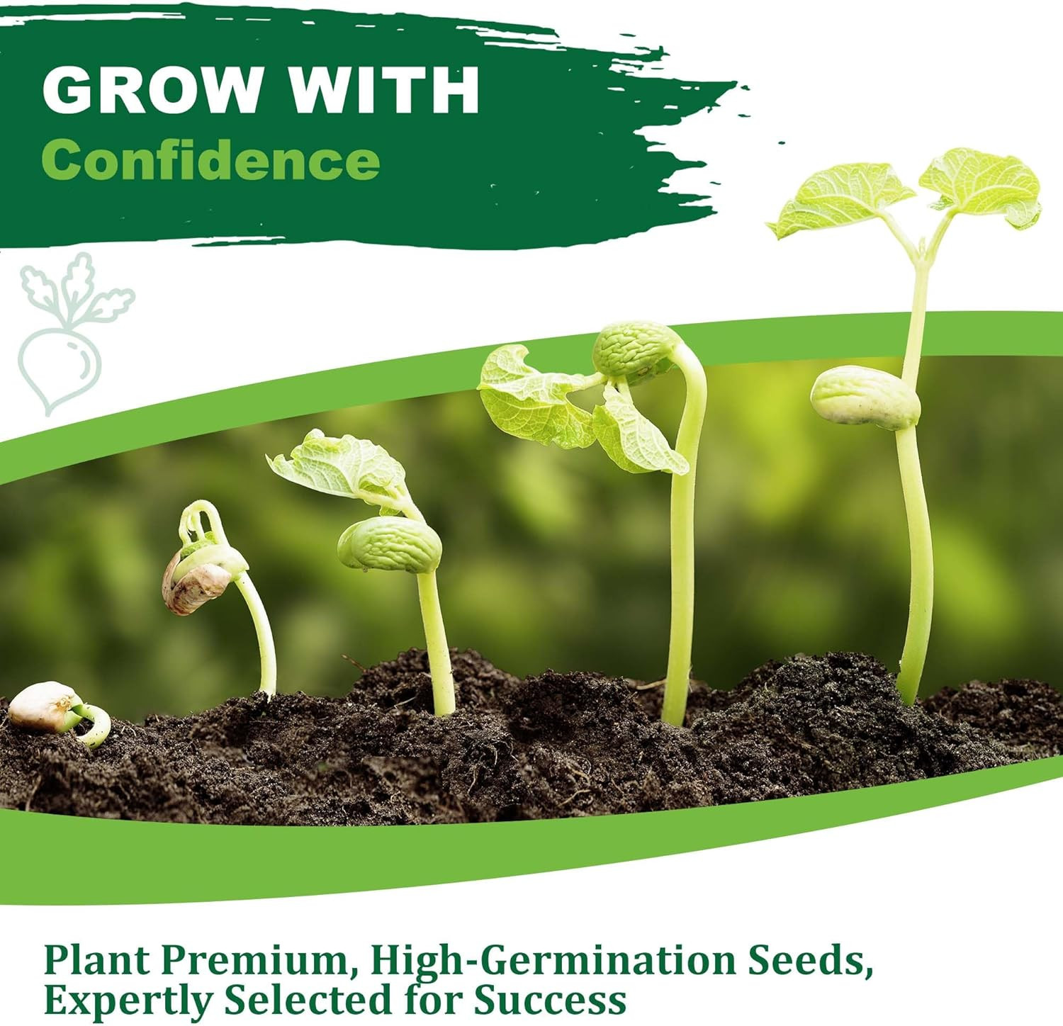 – Rue Seeds for Planting, 1 Gram, 500 Heirlooom Seeds, Non-Gmo, Instructions Inc