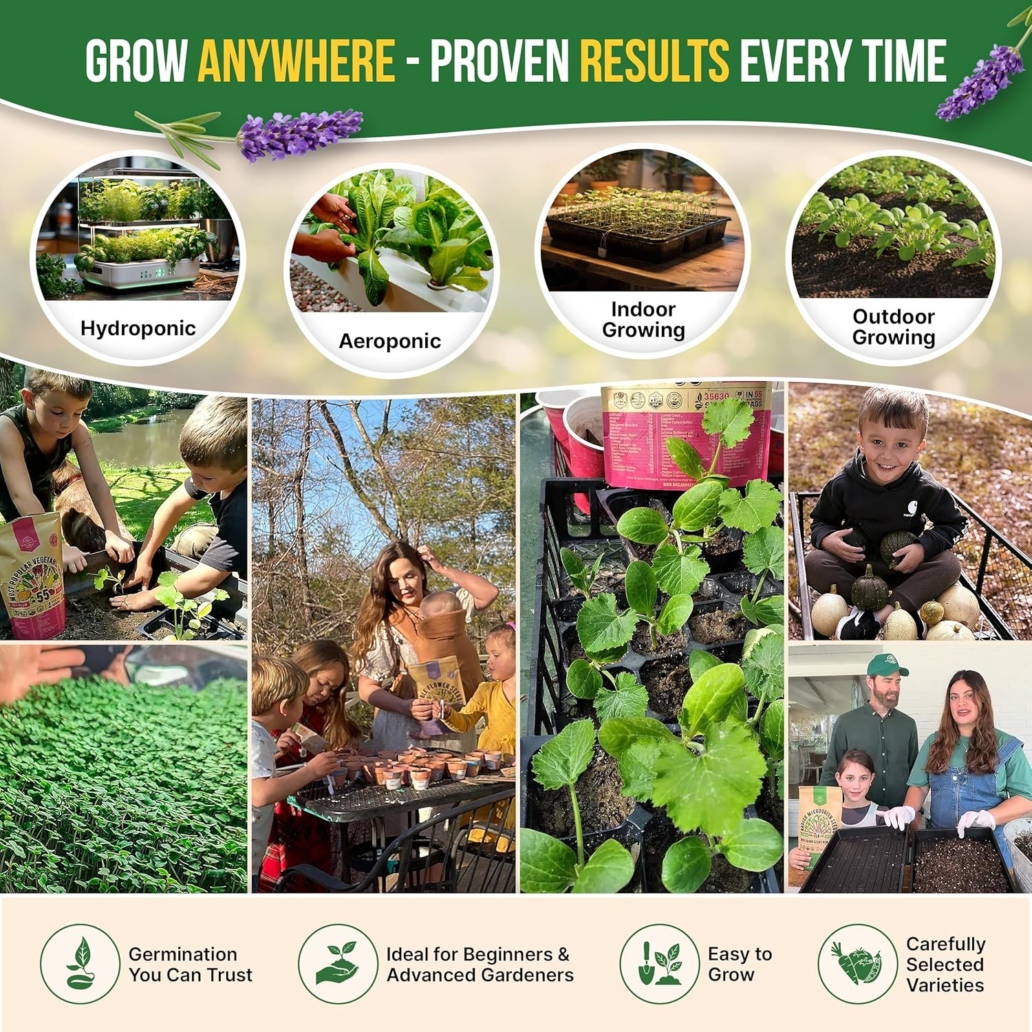 Culinary Herb Seeds Variety Pack 12 Types Non-GMO Heirloom Indoor Outdoor Garden