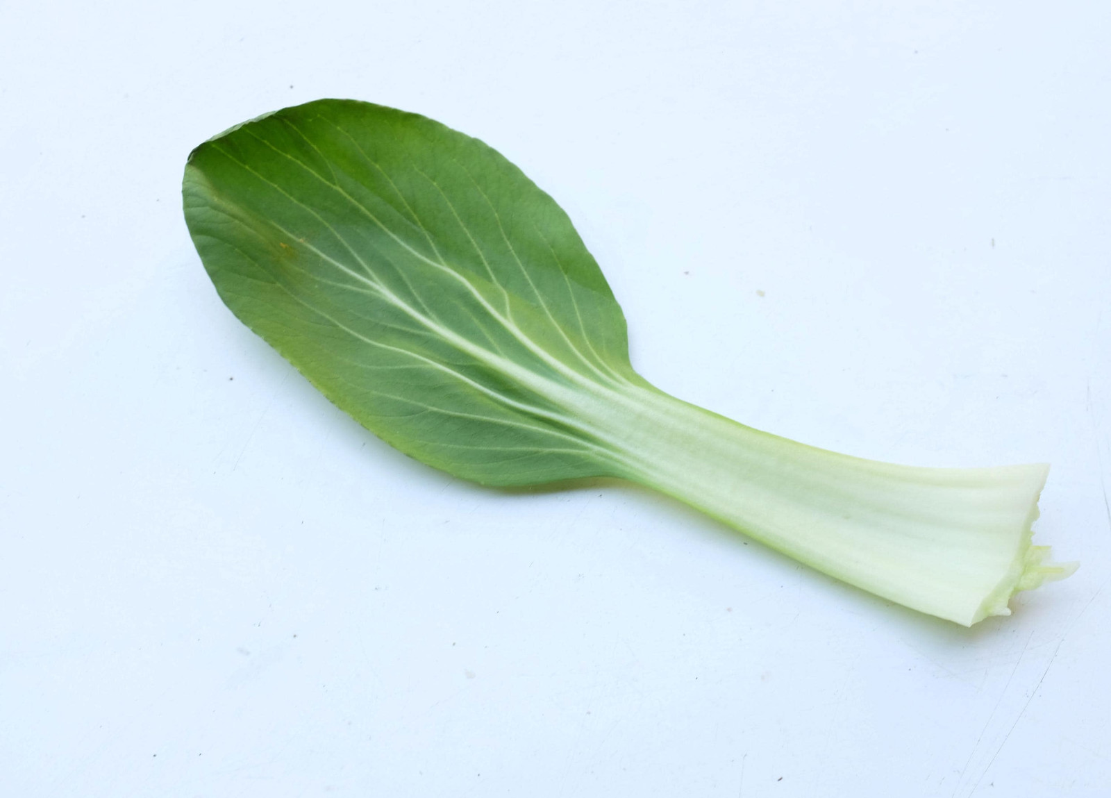 Chinese White Stem Pak Choi Bok Choy Seeds, Non-Gmo, Shipped with Tracking,