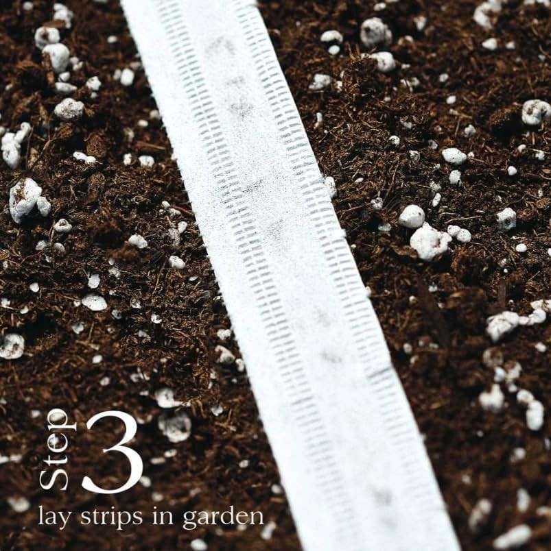 Grab Flavorful Annabel Radish Seeds – Biodegradable 15ft Tape for Your Garden