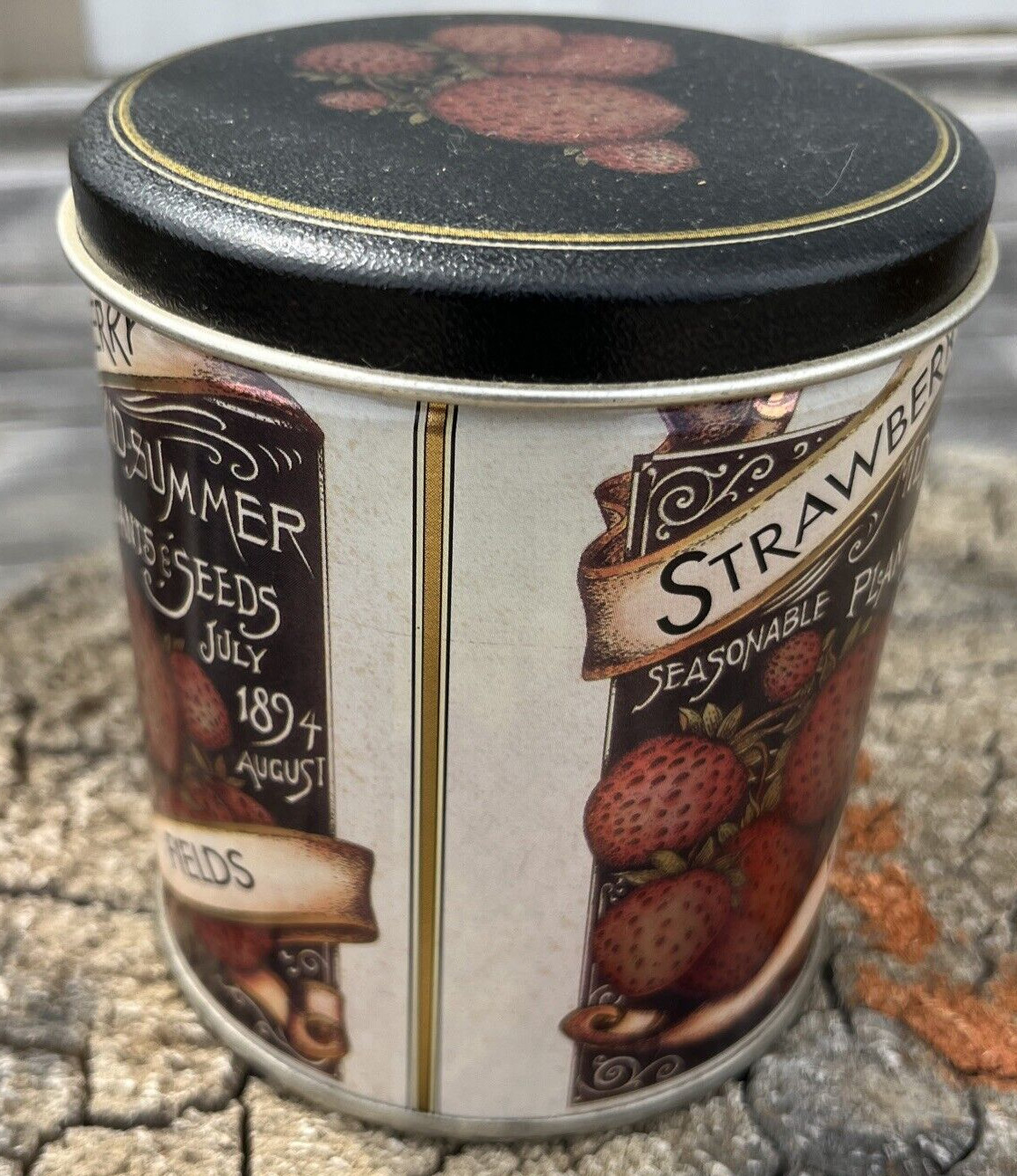 Strawberry Fields Mid-Summer Plants & Seeds Collectible Farmhouse Tin Vintage Ad