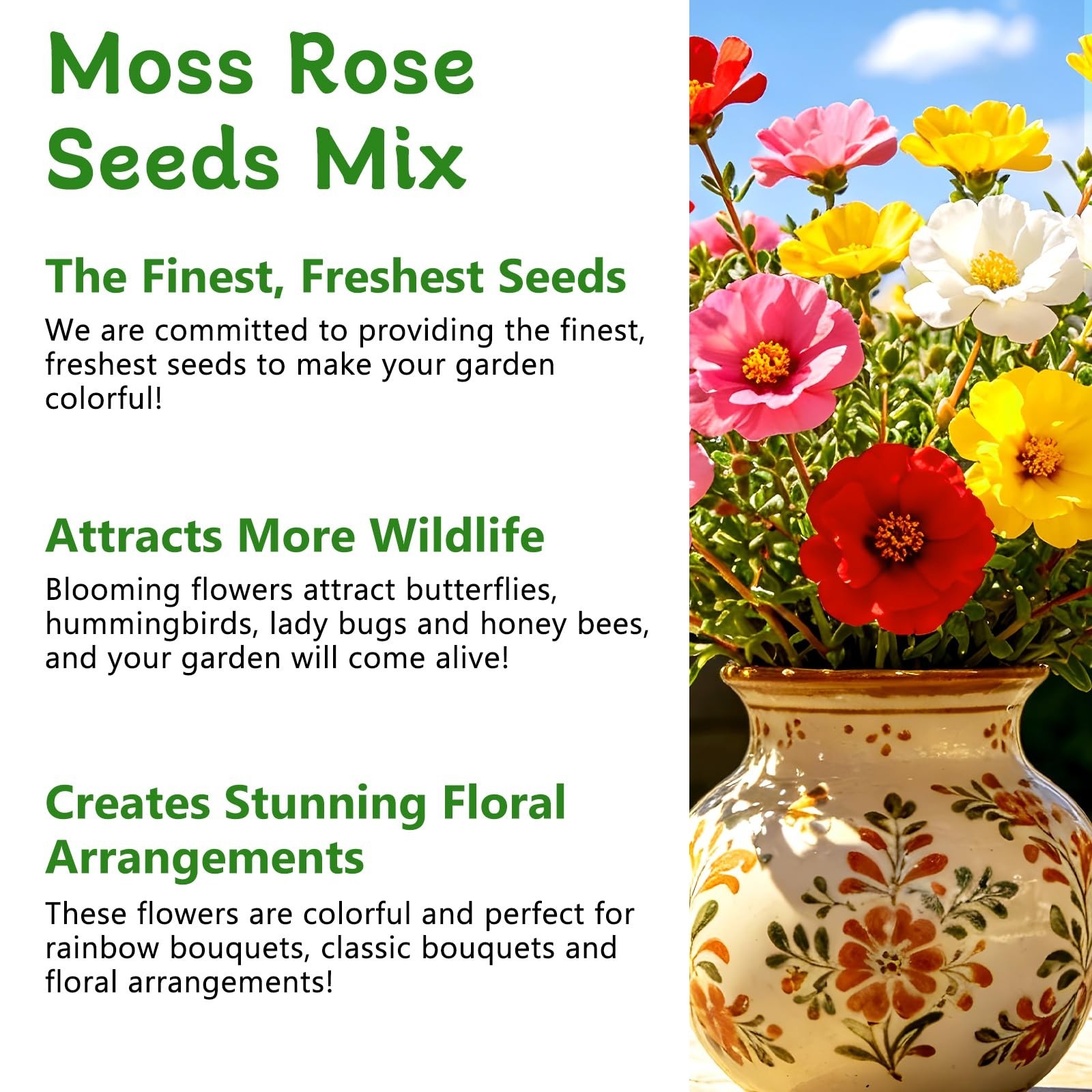 10,000+ Moss Rose Flower Seeds – Non-GMO, Mixed Colors, Easy to Grow, Attracts P