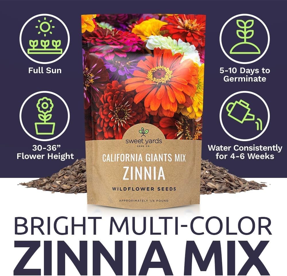 Bulk Zinnia Seeds – California Giants Mix – Bulk 1/4 Pound Bag Over 12,000 Fl…