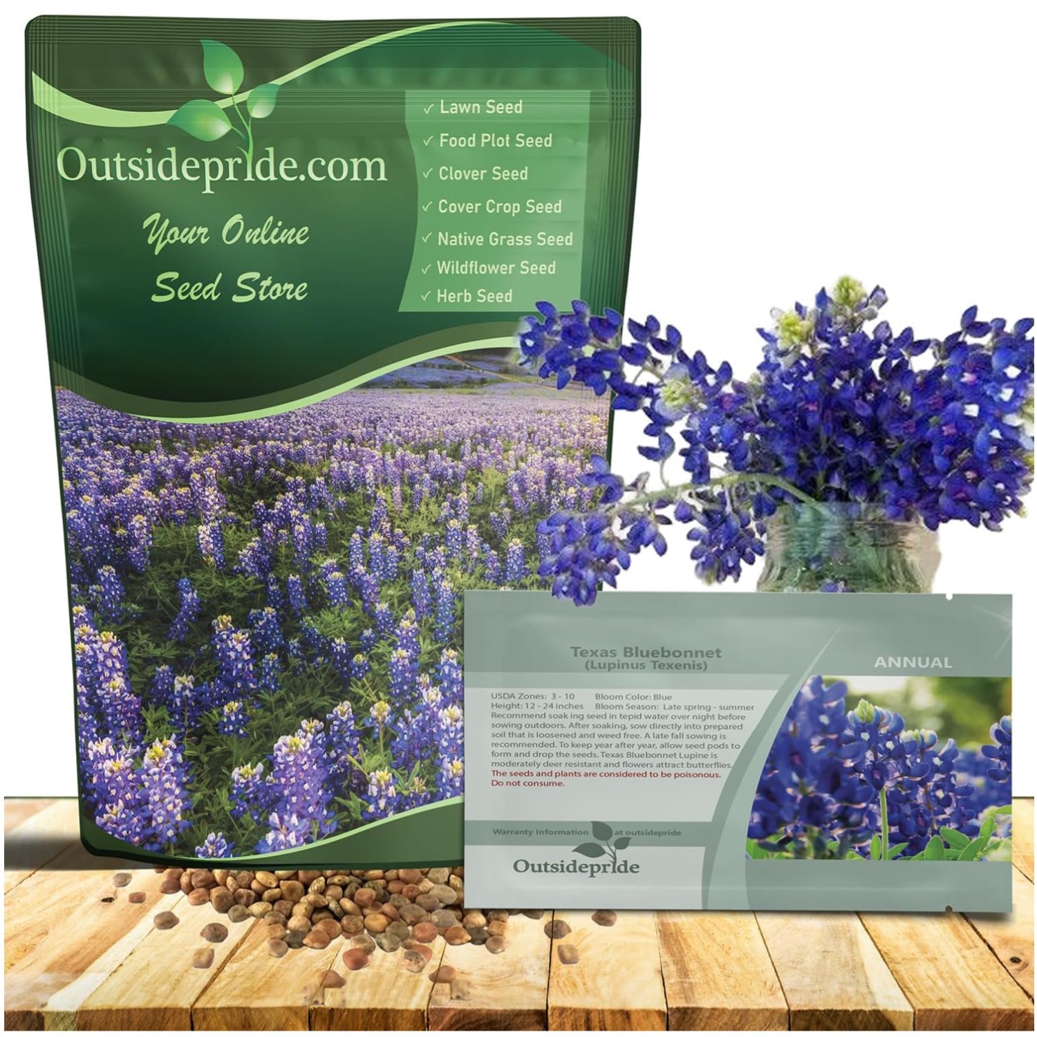 Vibrant Blue Texas Wildflower Seeds – Drought-Tolerant