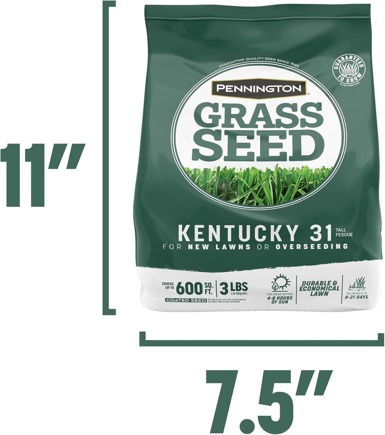Drought-Resistant Kentucky 31 Tall Fescue Grass Seed – 3 lb for Easy Gardening