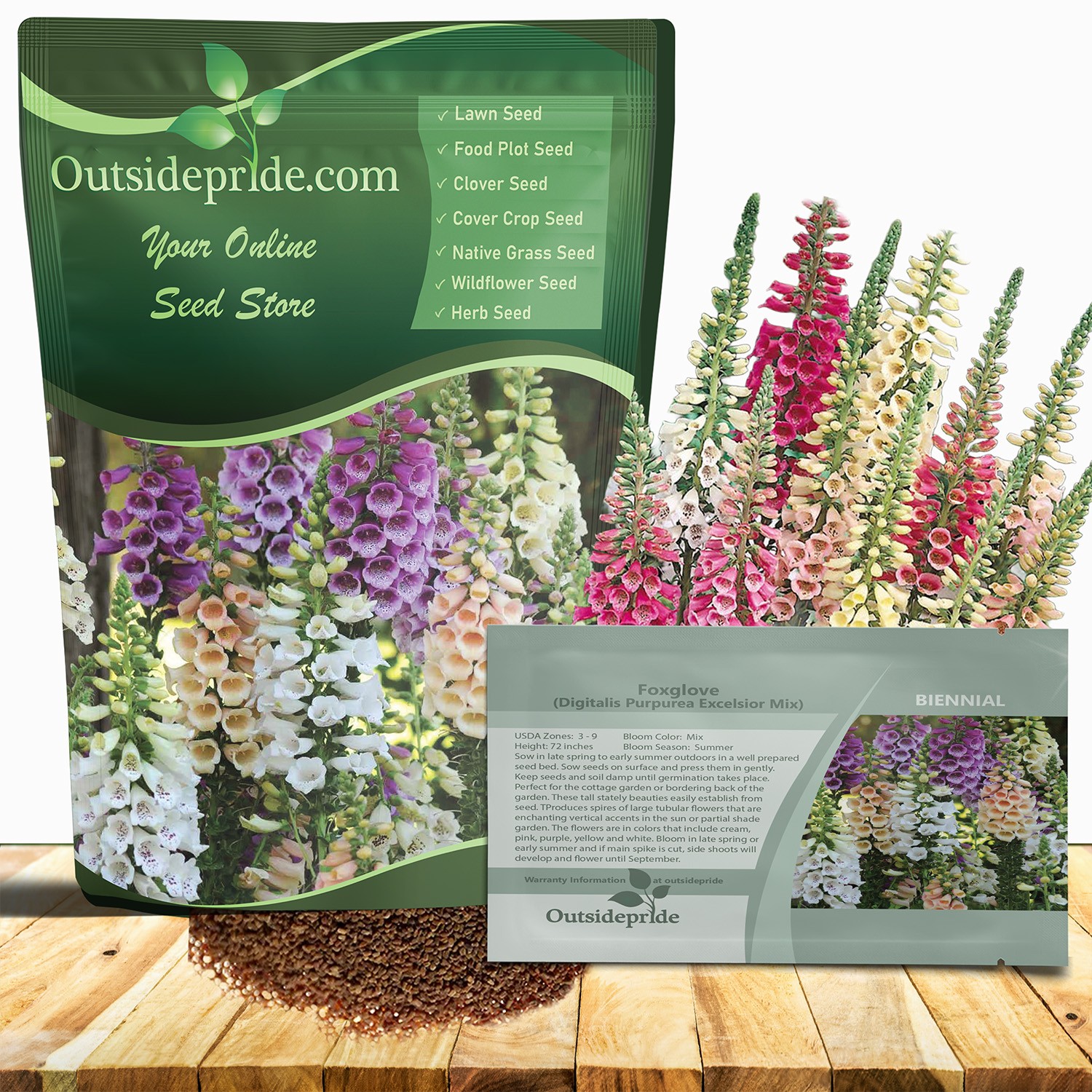 1 LB Foxglove Seed – Digitalis Purpurea Excelsior Mix Wildflower Seeds
