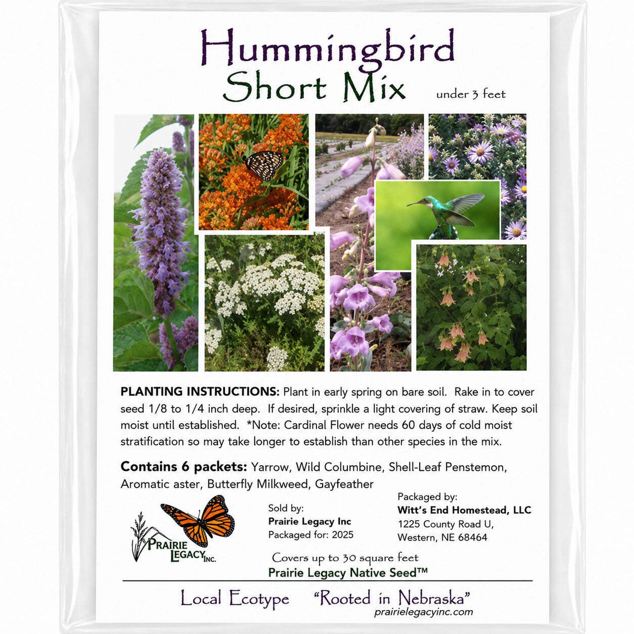 Mini Native Short Hummingbird Seed Mix | Prairie Legacy Inc.