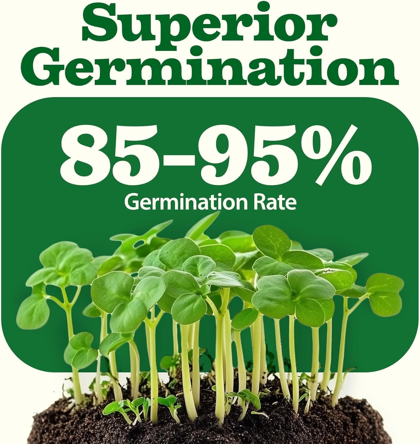 Non-GMO Heirloom Seed Vault: 32 Varieties with 16,000 High Germination Seeds