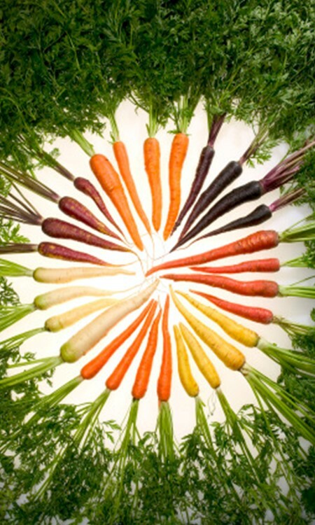 RAINBOW OF CARROT SEEDS, HEIRLOOM, Non-Gmo, Fresh and Fun Seeds For Everyone