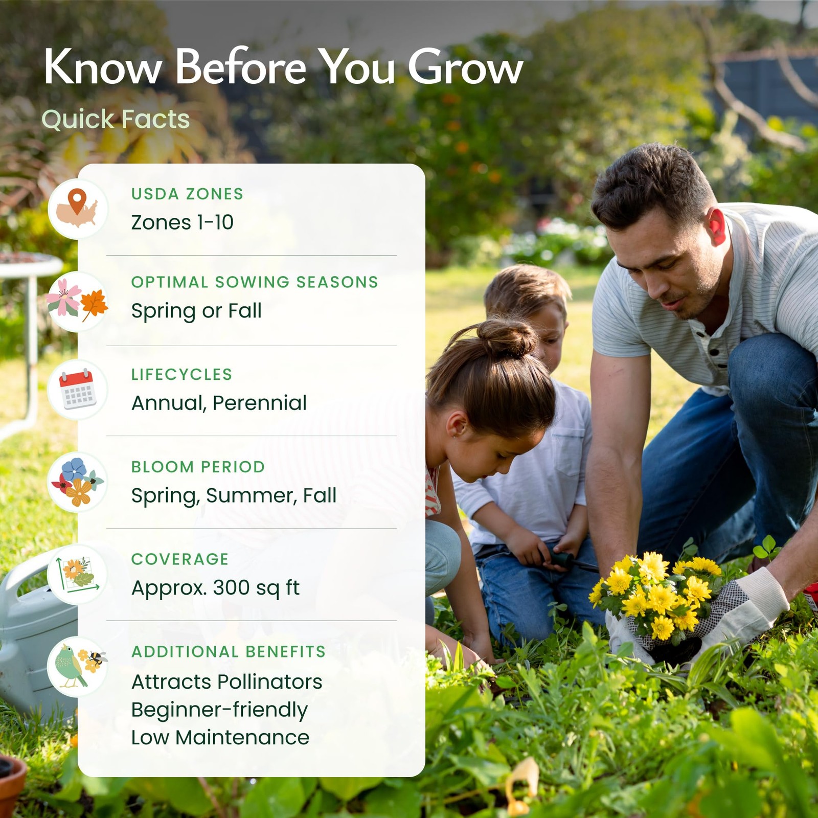 Nevada Wildflower Seed Mix, 14 Flower Varieties, 30,000 Seeds