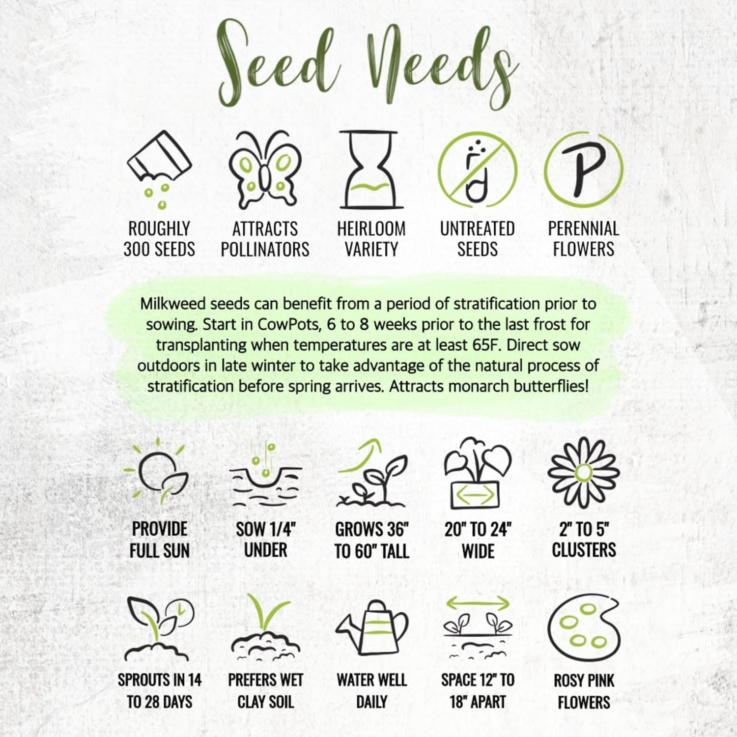 Seed Needs MEGA Milkweed Seed Packet Collection – 5 Individual Varieties