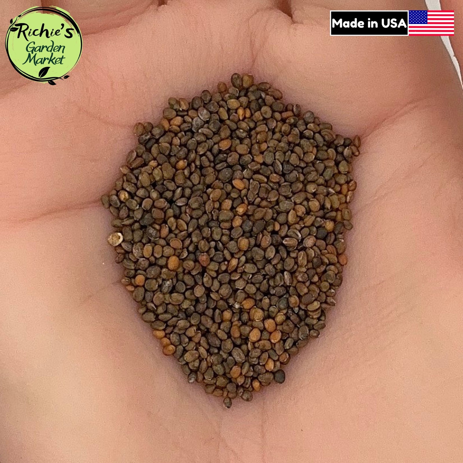 Arugula Seeds, Roquette Heirloom, Non-GMO, Organic, Fast Growing, Free Shipping