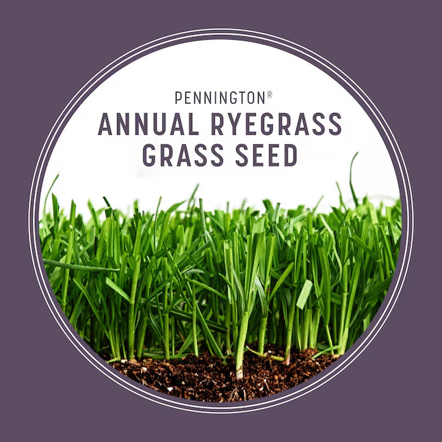 [FLASH SALE] Pennington 50-lb Annual Ryegrass Grass Seed