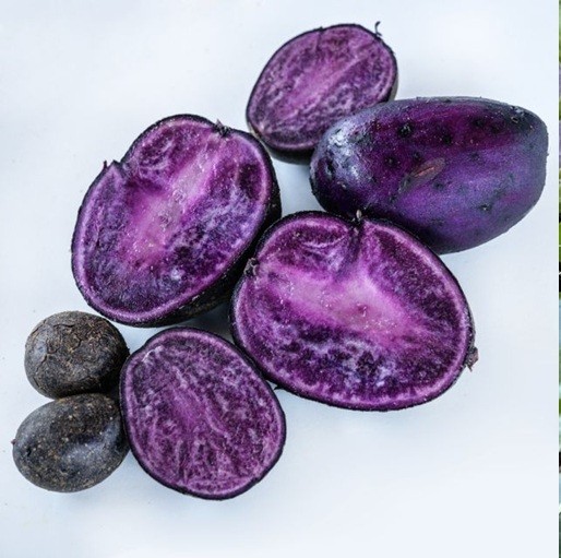 Potato Lover’s Mix – 2-4 lb pounds – Non-GMO Tuber Seeds Potatoes for Spring