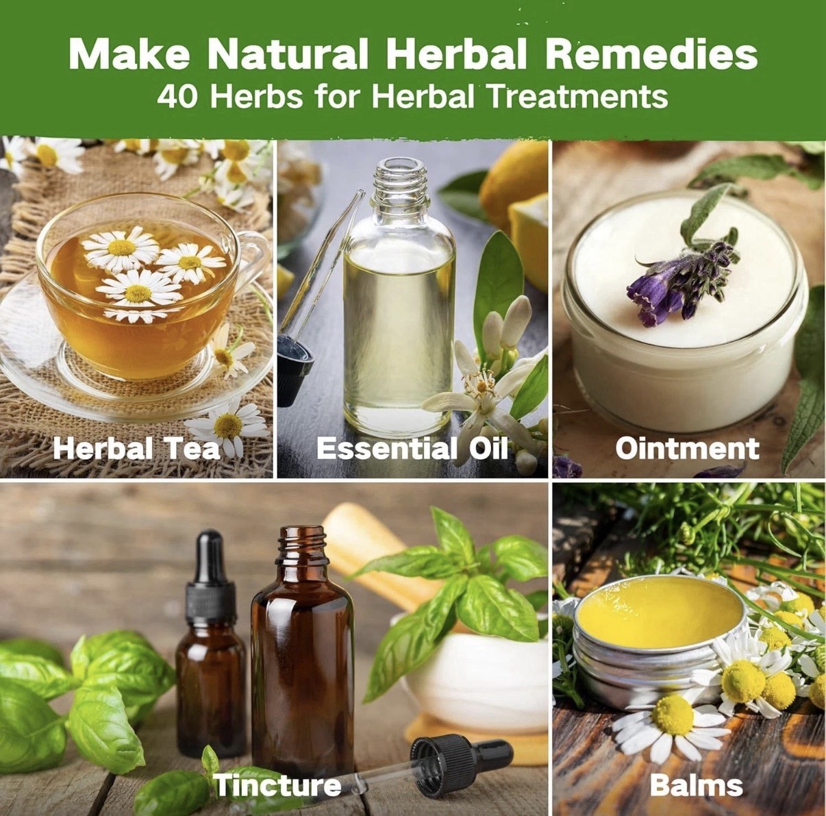Medicinal Herb Seed Chest 36 000+ Non GMO Survival Kit Lush&Dew Ancestral Gifts