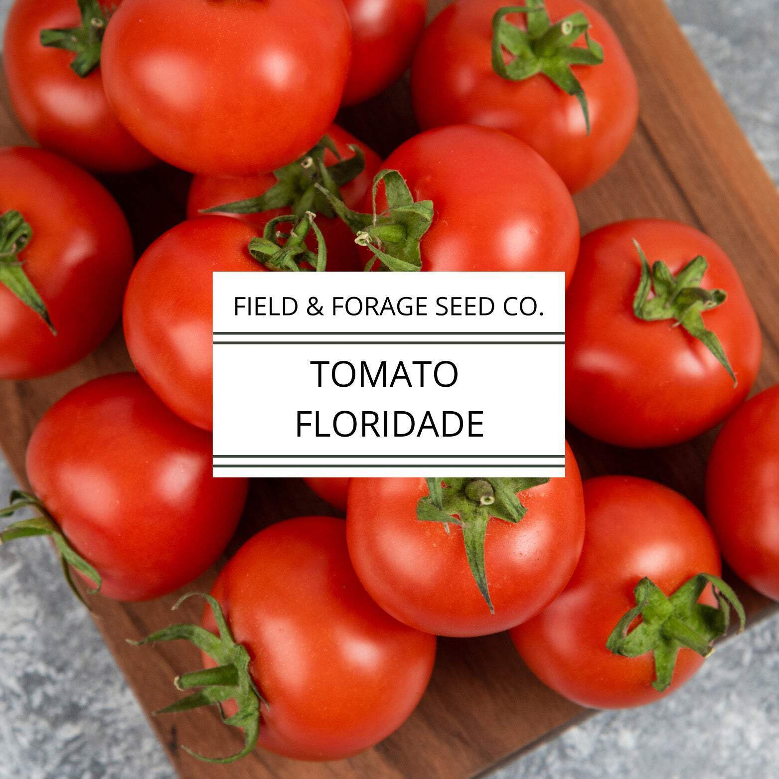 Tomato Floridade | Heat-Tolerant Heirloom | Non-GMO | 300 Seeds