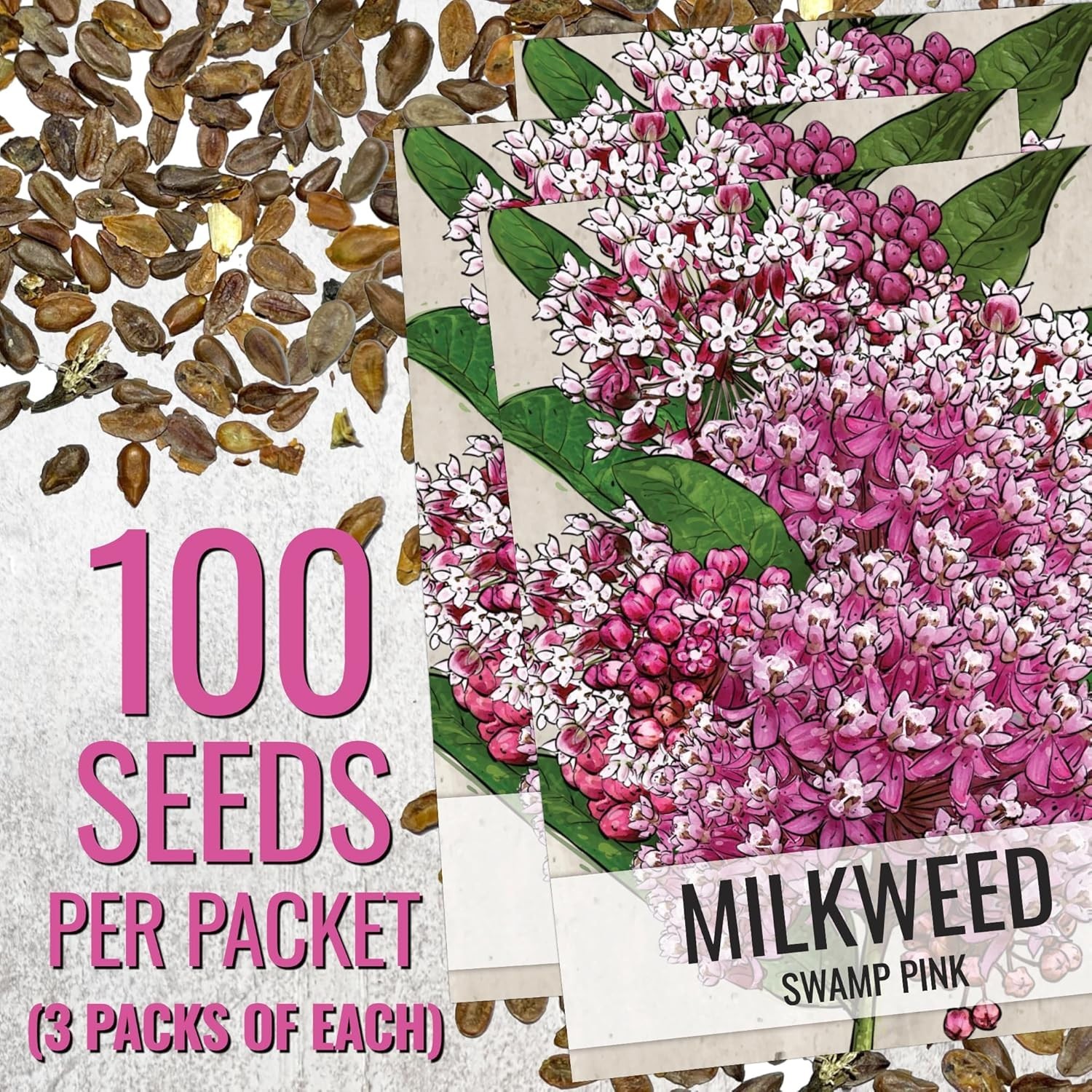 Seed Needs MEGA Milkweed Seed Packet Collection – 5 Individual Varieties