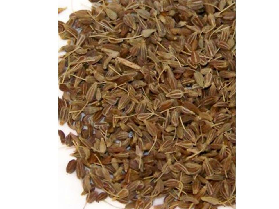 HERBS, CULINARY/MEDICINAL 20 HEIRLOOM VARIETIES DOOMSDAY/SURVIVAL SEED CACHE