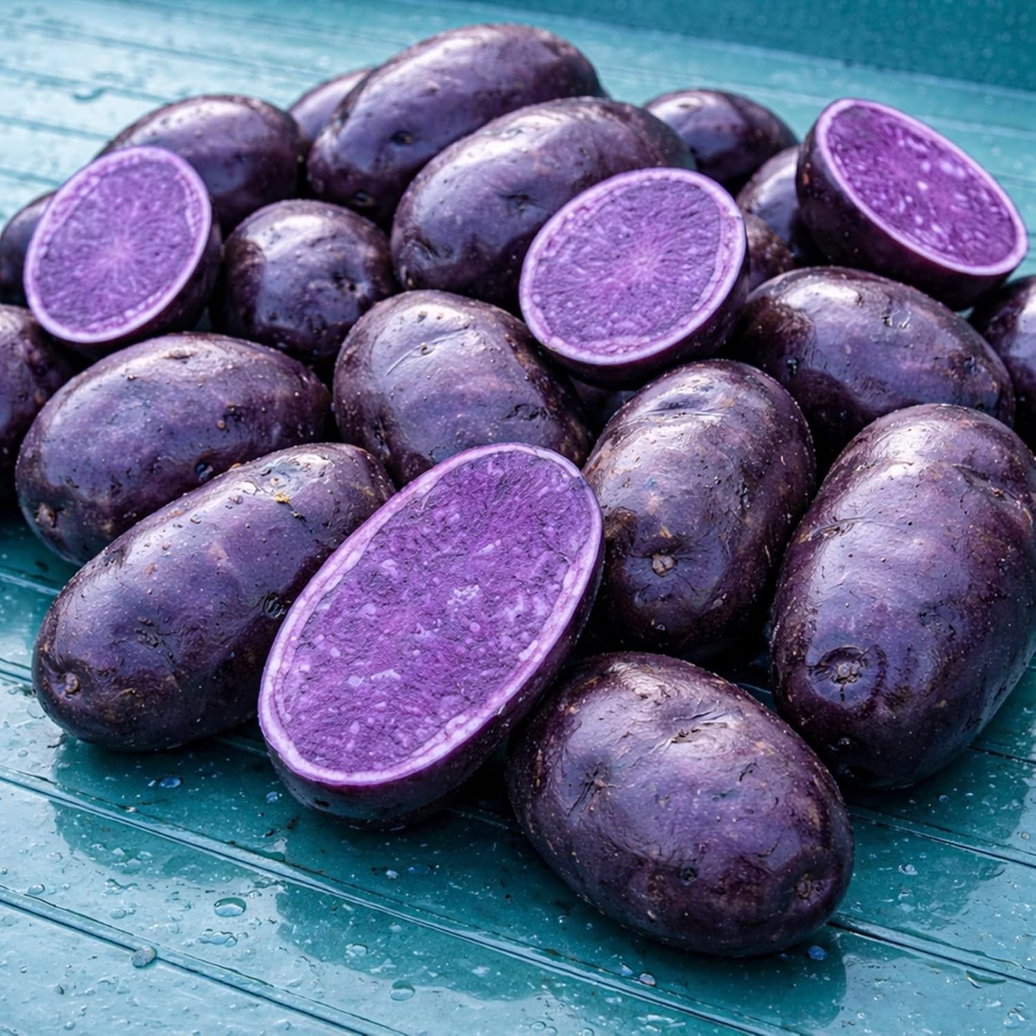 Purple Majesty Seed Potatos for Planting – Garden (3 Pounds)