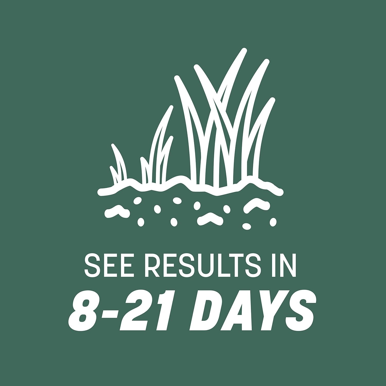 Pet-Friendly Kentucky 31 Tall Fescue Grass Seed – 7 lb, Covers 1400 sq. ft.