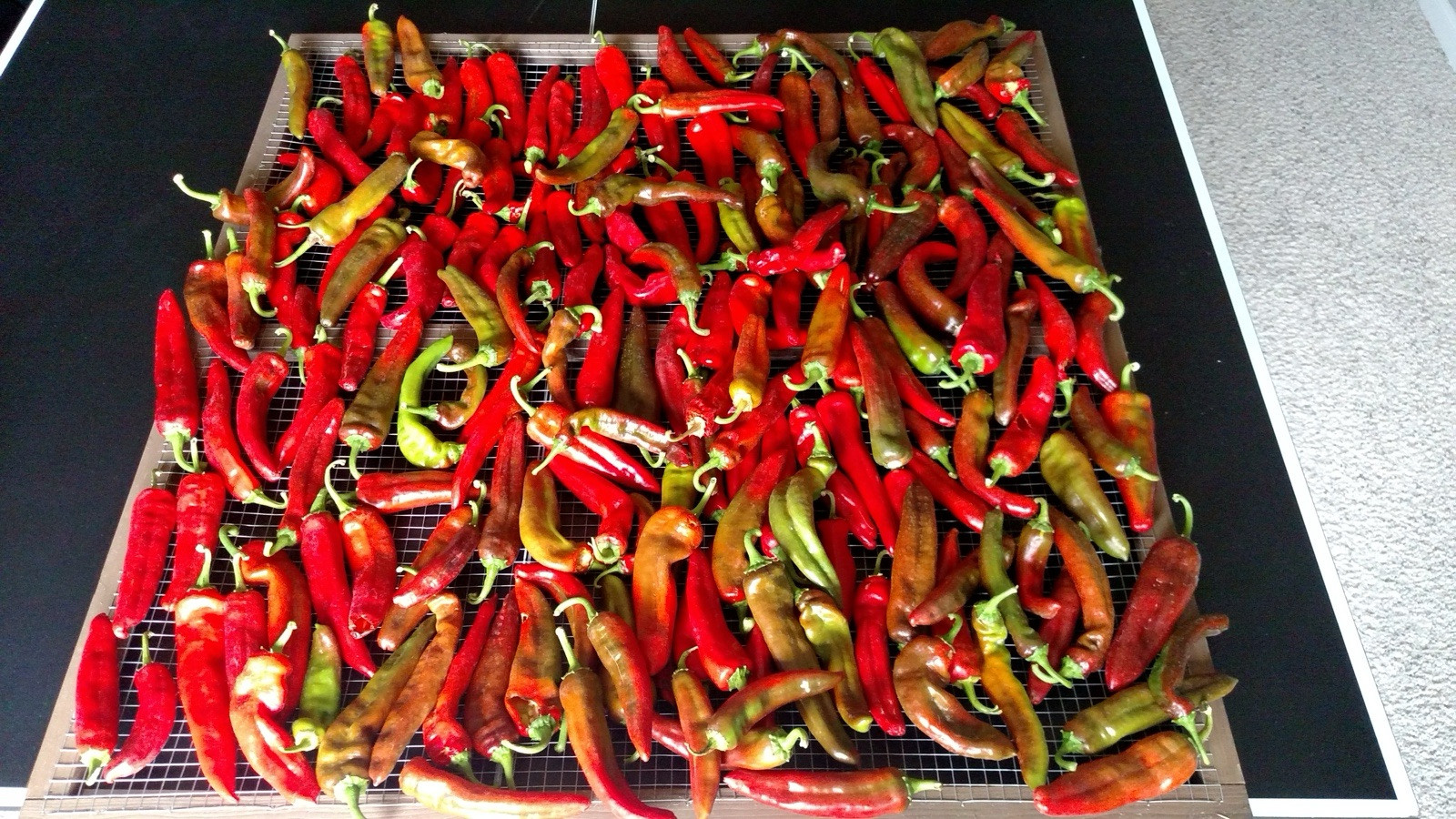 Hatch Sandia Chili Pepper Seeds, NuMex, Hot Green Chile, Ristra, FREE SHIPPING
