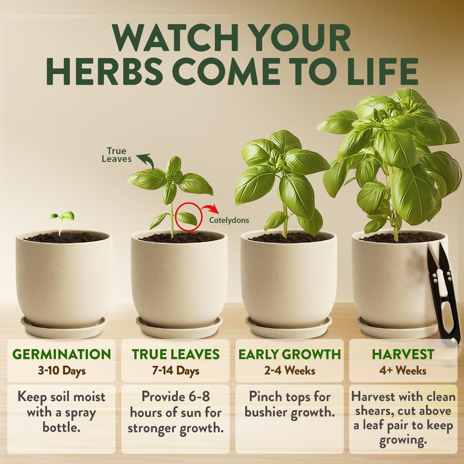 Indoor Organic Herb Garden Kit Unique Gift for Plant Lovers & Beginners