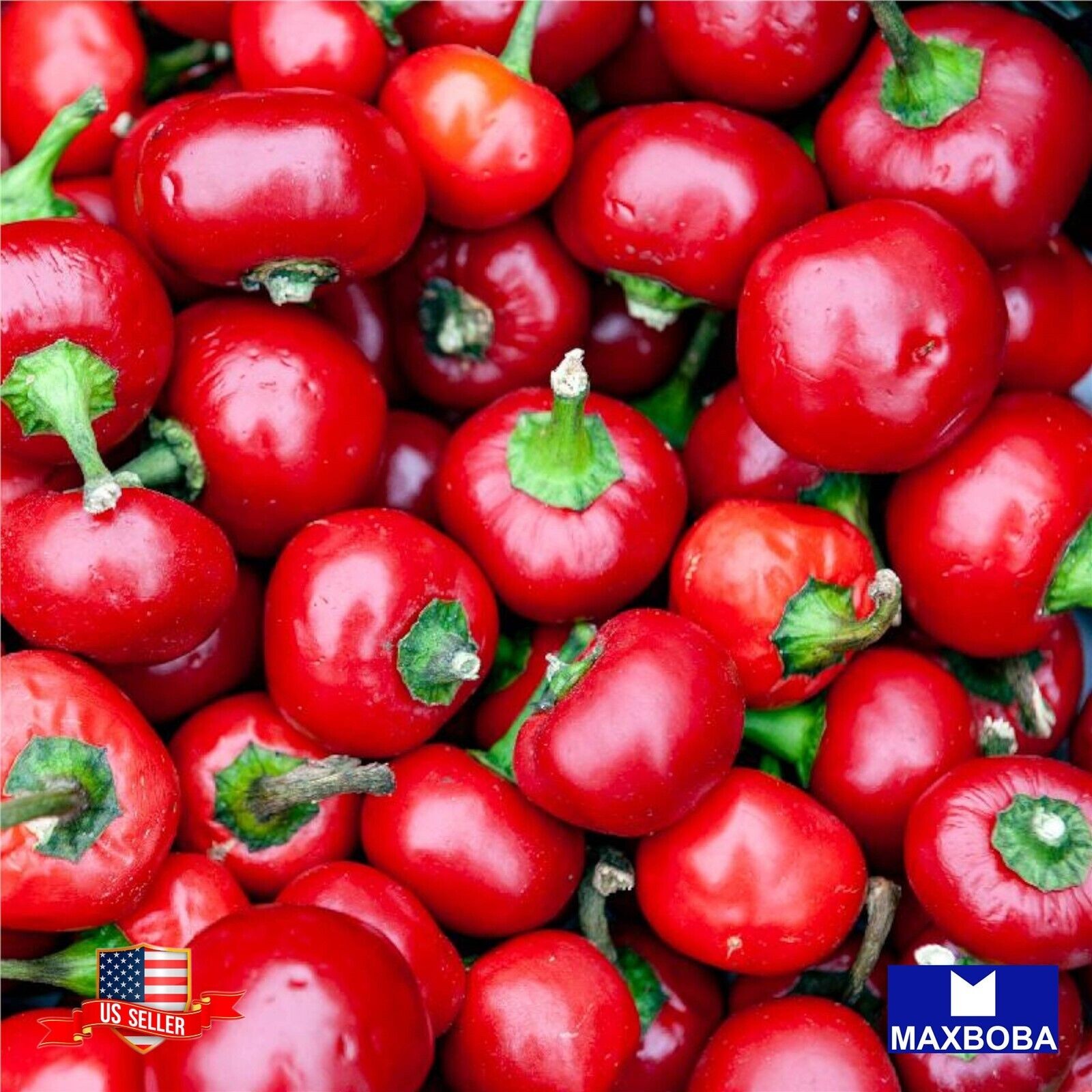 10 Large Red Cherry Hot Pepper Fresh Seeds – Non-GMO Heirloom