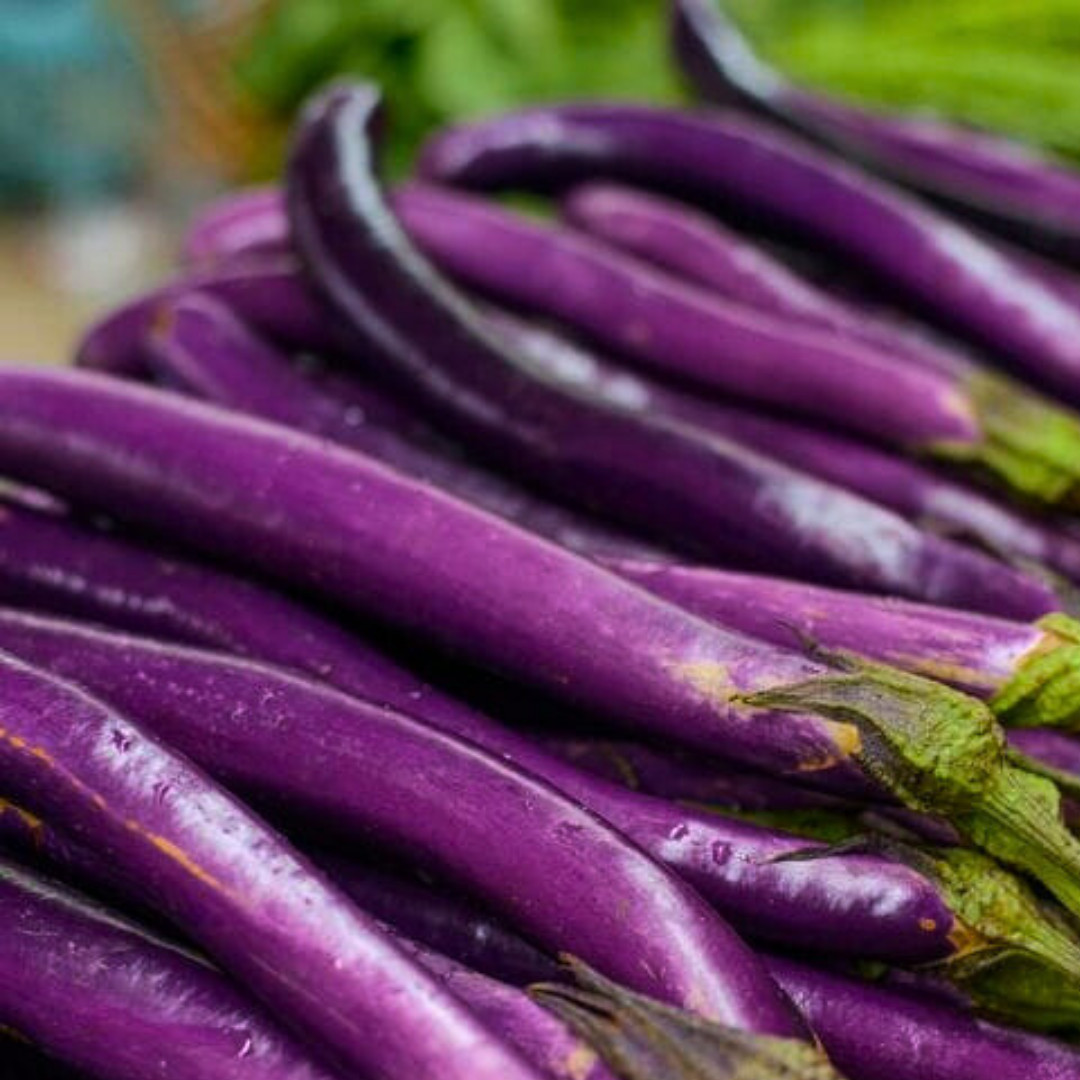 Fresh Chinese Eggplant Seeds | Ping Tung | Heirloom Non-GMO | Asian Vegetable