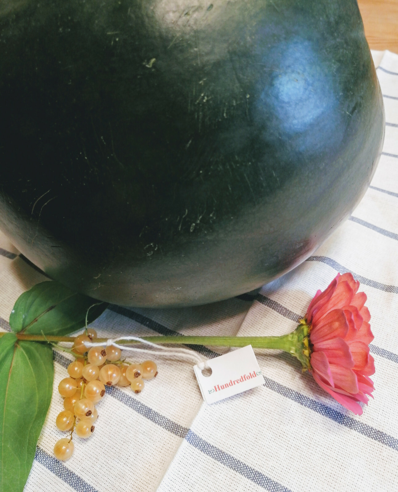 50 Organic Sugar Baby Watermelon Seeds – Citrullus lanatus Heirloom Sweet Fruits