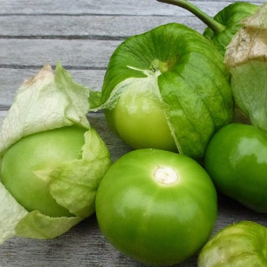125+ Grande Rio Verde Tomatillo Seeds – Large Green Fruit – Heirloom, Non-GMO
