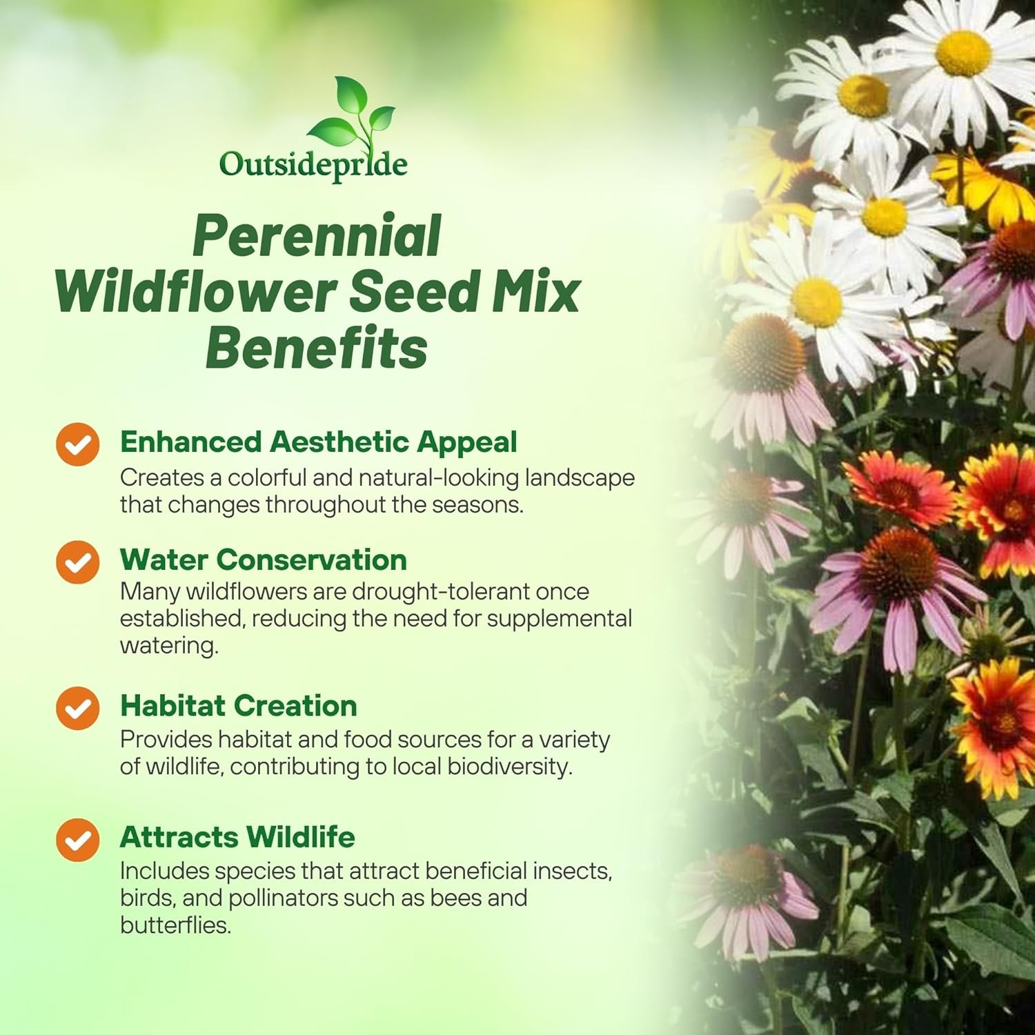 5 LBS Perennial wild flower seed from Outsidepride.