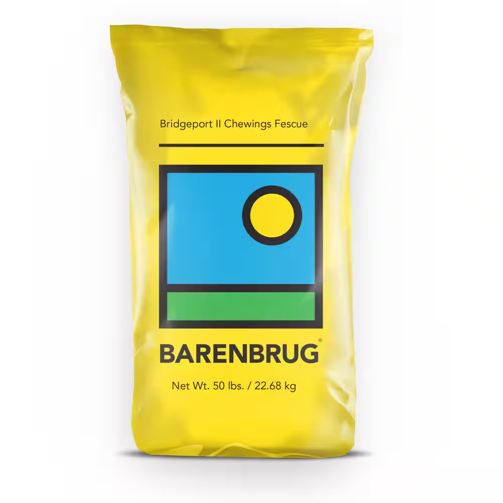 50 Lb. Bridgeport II Chewing Fescue Grass Seed