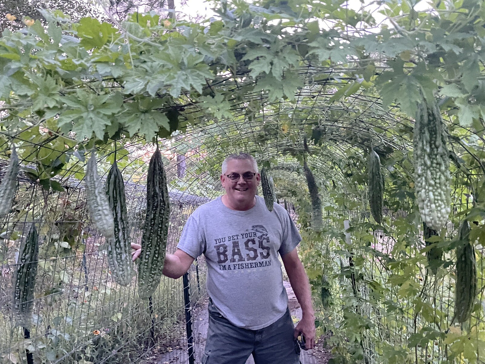 20+ Philippine Long Ampalaya- Organic Heirloom Bittergourd, Bittermelon Seeds