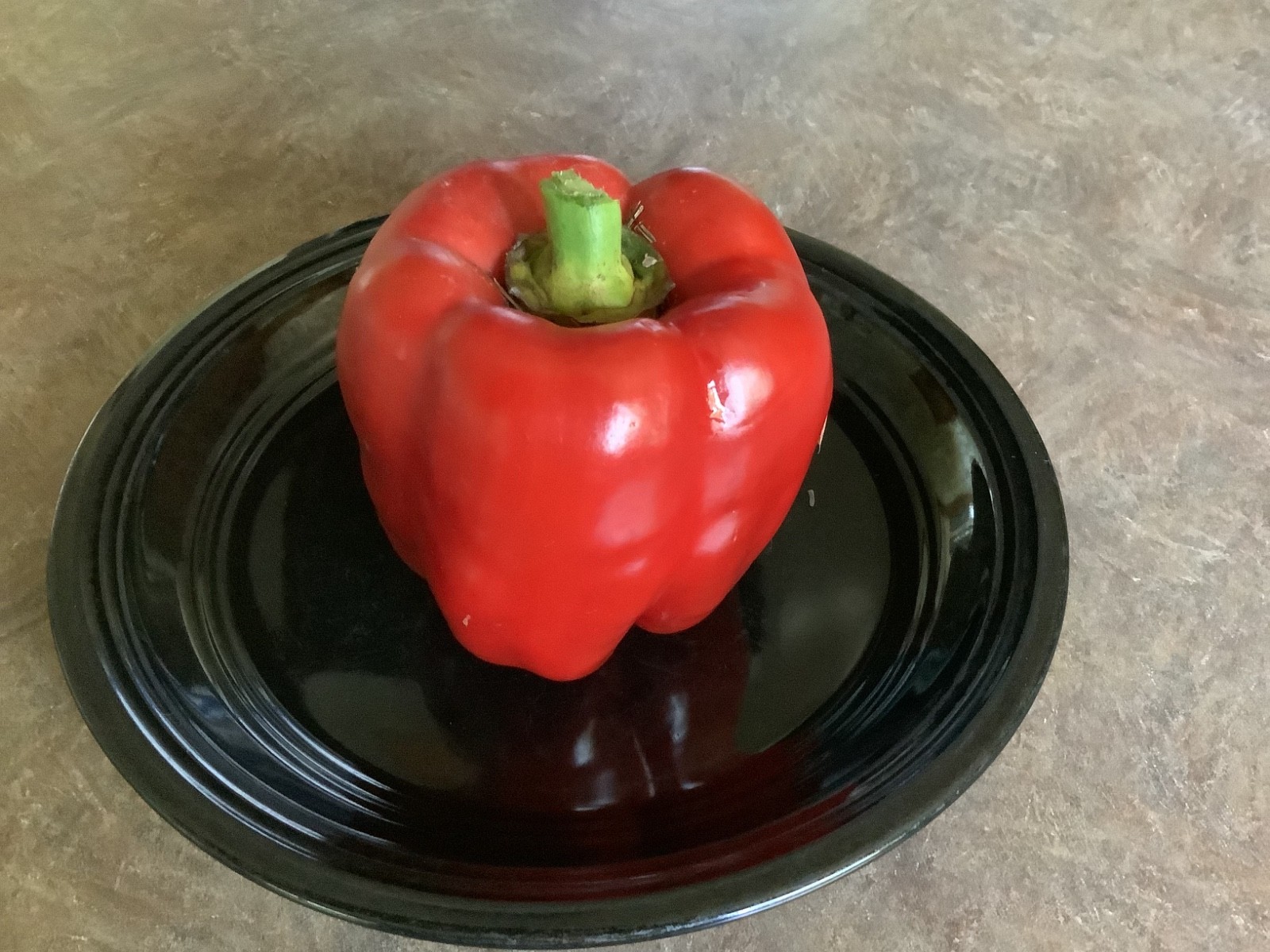 60 Quadrato D Asti Rosso Bell Pepper seeds, organically grown heirloom