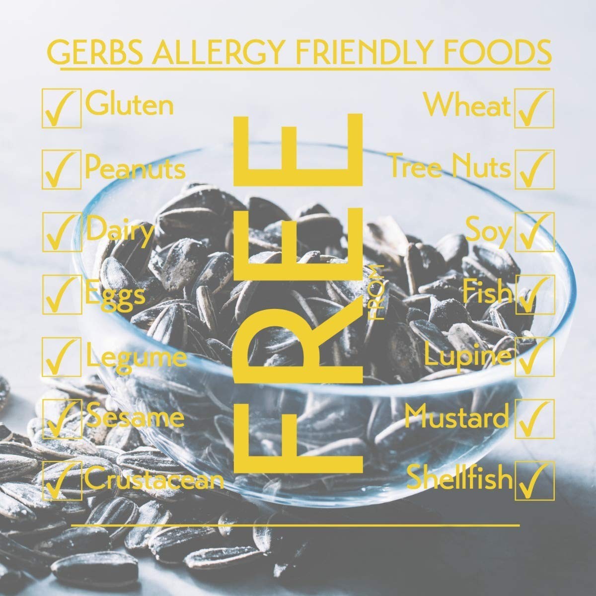 Allergen-Free Raw Whole Sunflower Seeds 1lb in Resealable Bag No Additives