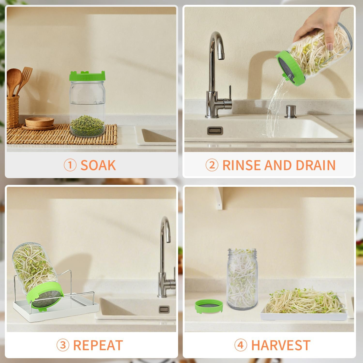Seed Sprouting Kit with Mung Beans 80G, 2 Large Wide Mouth Mason Jars with Sprou
