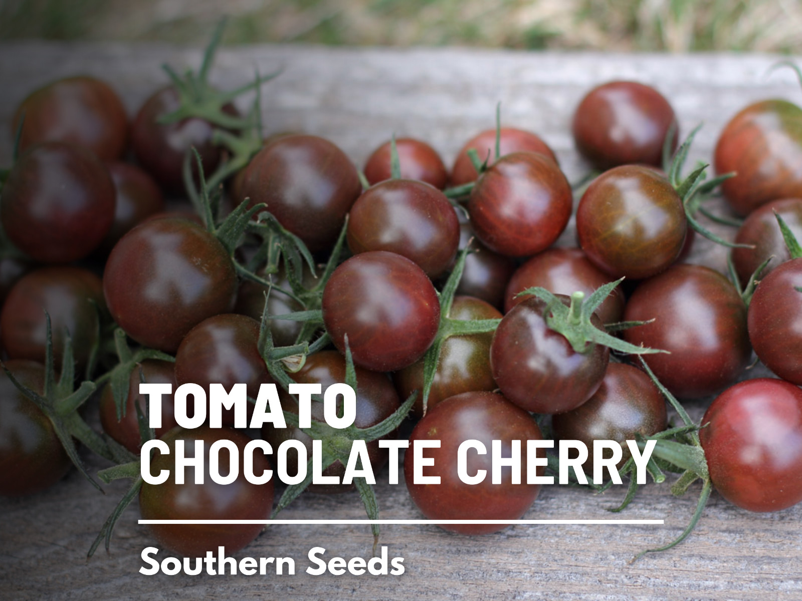 Tomato, Chocolate Cherry – Heirloom Seeds