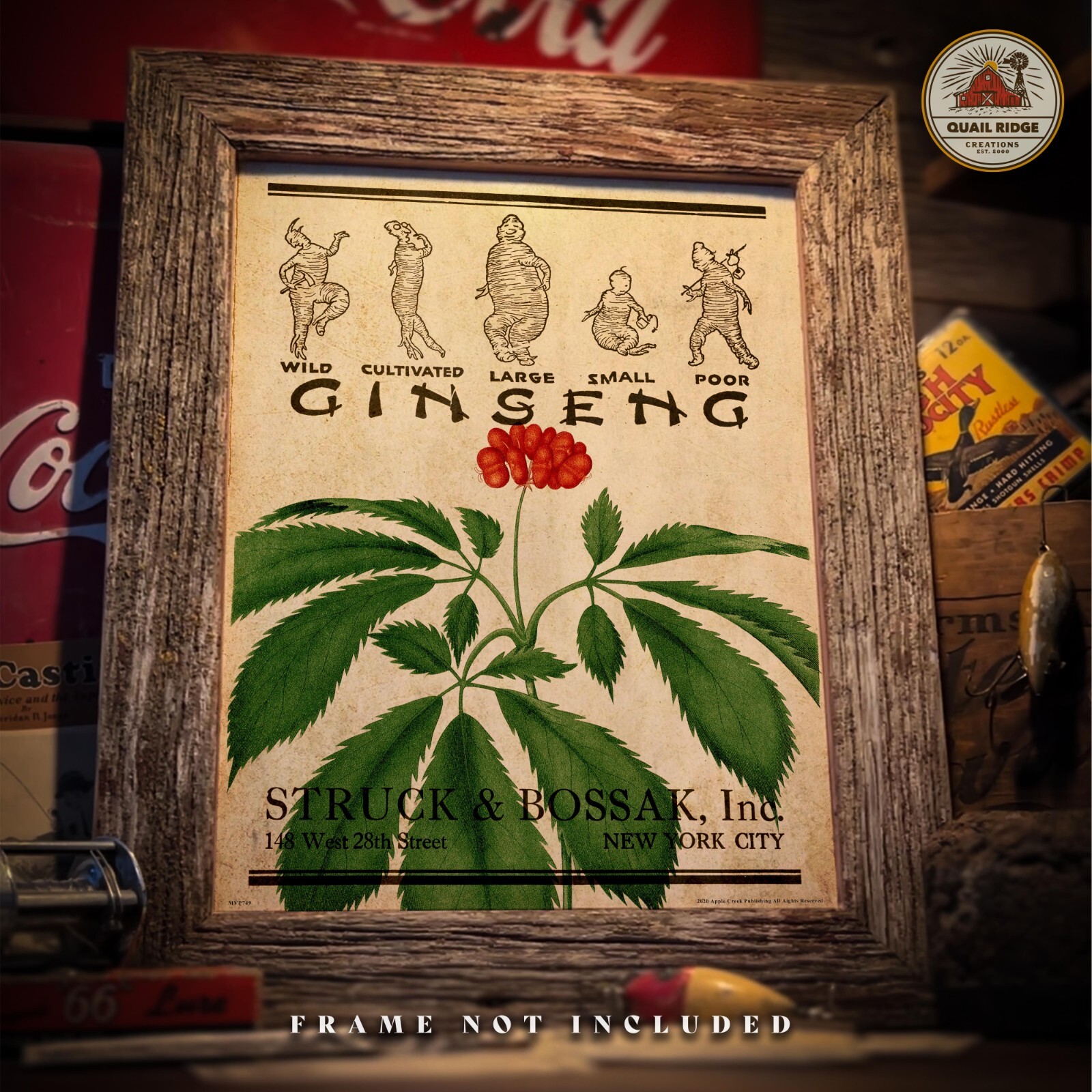Wild Ginseng Root Poster Art Print Vintage Ginseng Hunting Wall Art Decor Gift