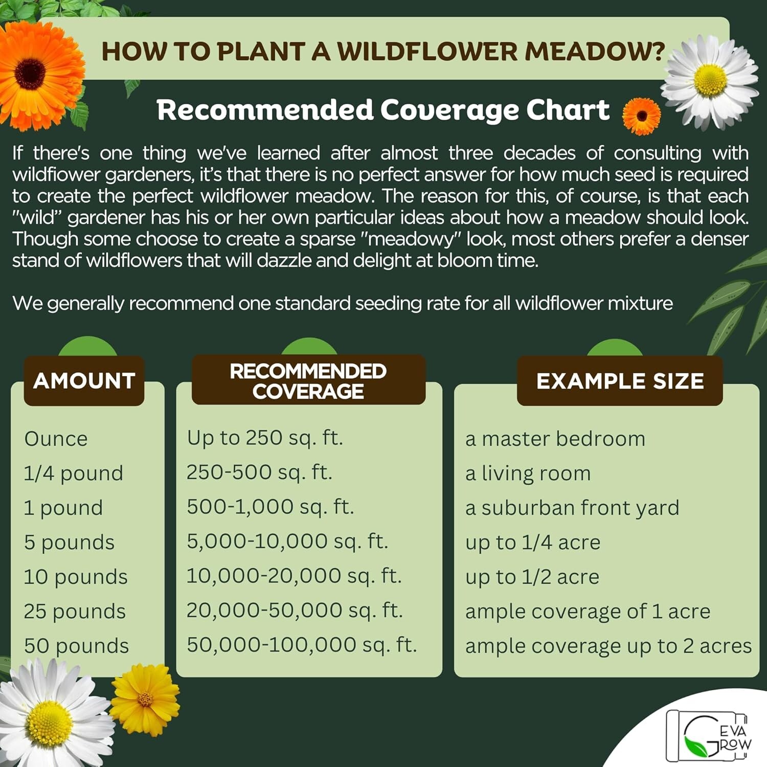 Transform Your Backyard – 1 Pound Bird & Butterfly Mix – Bulk Wildflower Seeds