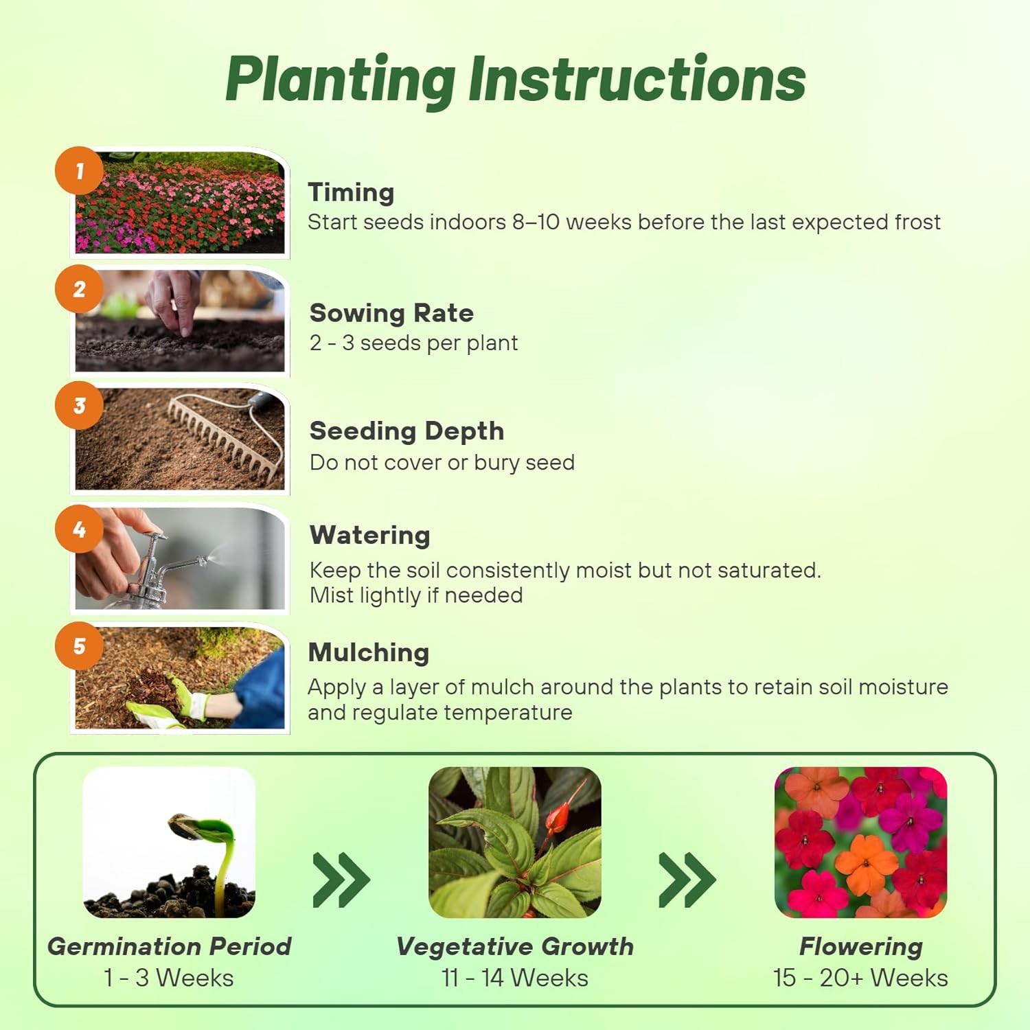 100 Seeds Impatiens Walleriana Seed Mix For Planting – Tango Mix Flower Seeds