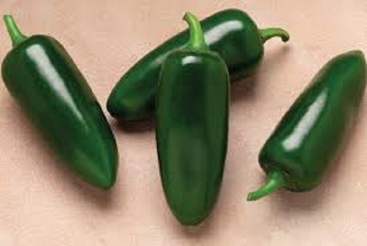 Premium Jalapeno Seeds – Organic Heirloom – Fresh Seeds – 2000 to 8000 Scoville