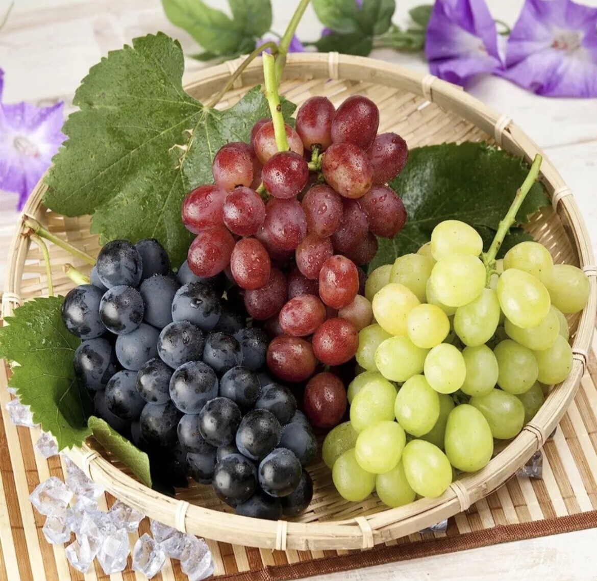 Grape Seed Mix Multicolor Dessert Wine Fruit Vine Organic NonGMO Edible Garden